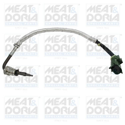 Sensor, exhaust gas temperature